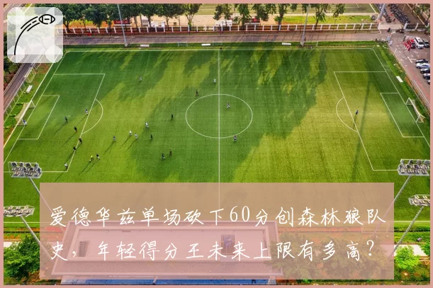 爱德华兹单场砍下60分创森林狼队史，年轻得分王未来上限有多高？