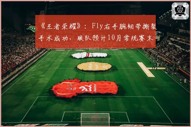 《王者荣耀》：Fly右手腕韧带撕裂手术成功，狼队预计10月常规赛末回归